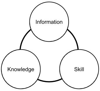 Cycle of Information, Knowledge and Skill